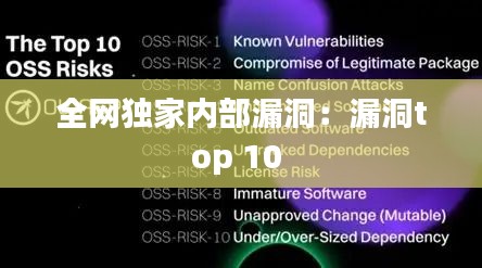 全网独家内部漏洞：漏洞top 10 