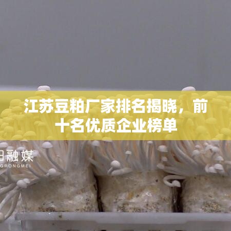 江苏豆粕厂家排名揭晓，前十名优质企业榜单