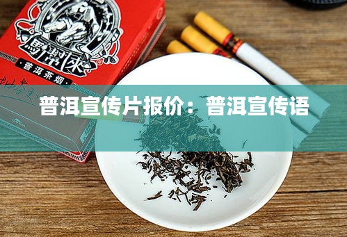 普洱宣传片报价：普洱宣传语 