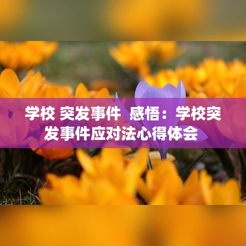 百不获一 第3页