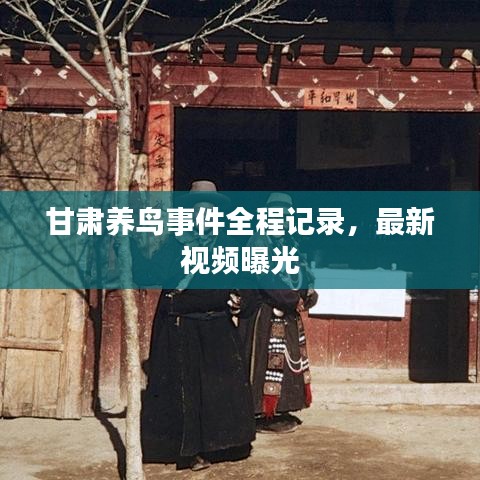 甘肃养鸟事件全程记录，最新视频曝光