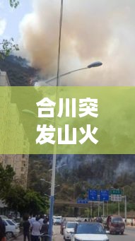 合川突发山火视频播放：合川火灾一家人死亡 