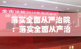 落实全面从严治院：落实全面从严治党专题报告 