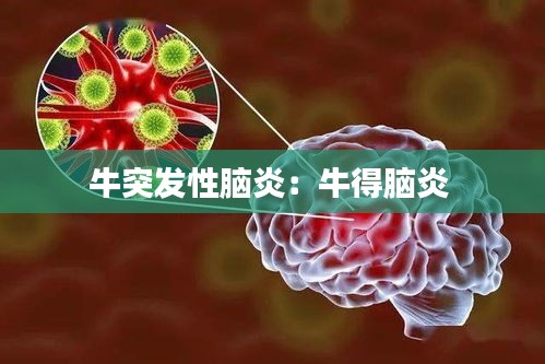 牛突发性脑炎：牛得脑炎 
