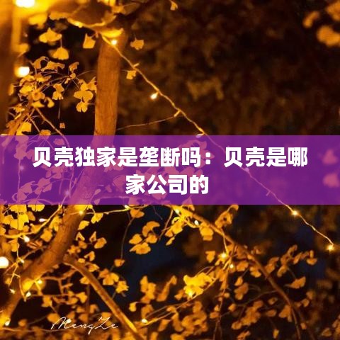 贝壳独家是垄断吗：贝壳是哪家公司的 
