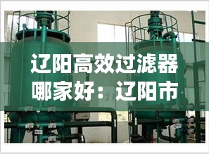 辽阳高效过滤器哪家好：辽阳市净水剂厂 