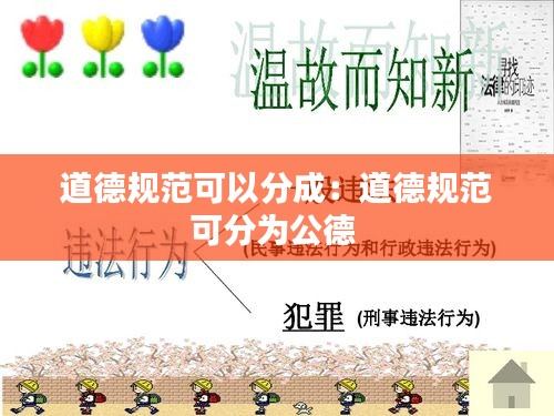 道德规范可以分成：道德规范可分为公德 