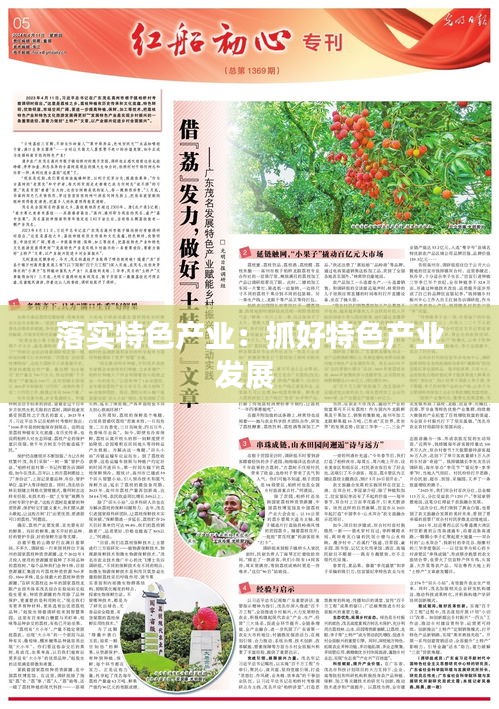 落实特色产业：抓好特色产业发展 