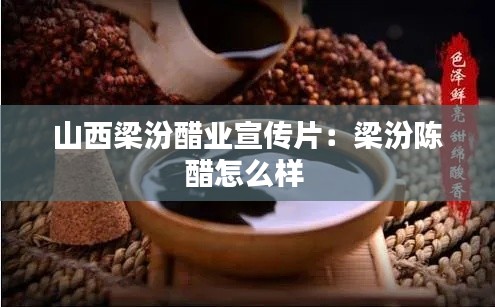 山西梁汾醋业宣传片：梁汾陈醋怎么样 
