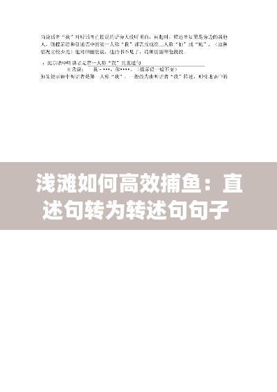 浅滩如何高效捕鱼：直述句转为转述句句子 