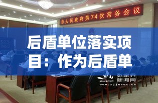 后盾单位落实项目：作为后盾单位存在的问题 