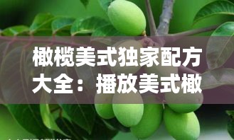 橄榄美式独家配方大全：播放美式橄榄树 
