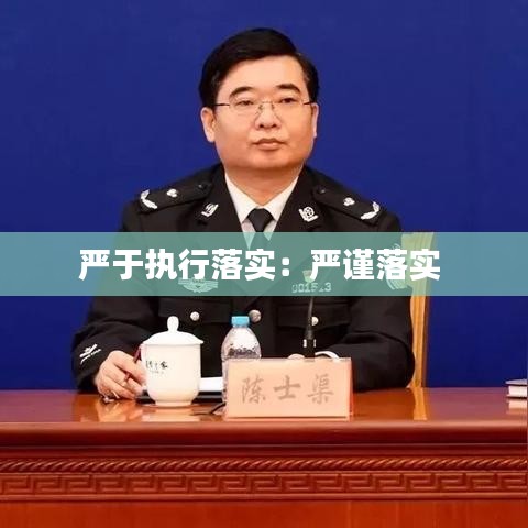 严于执行落实：严谨落实 