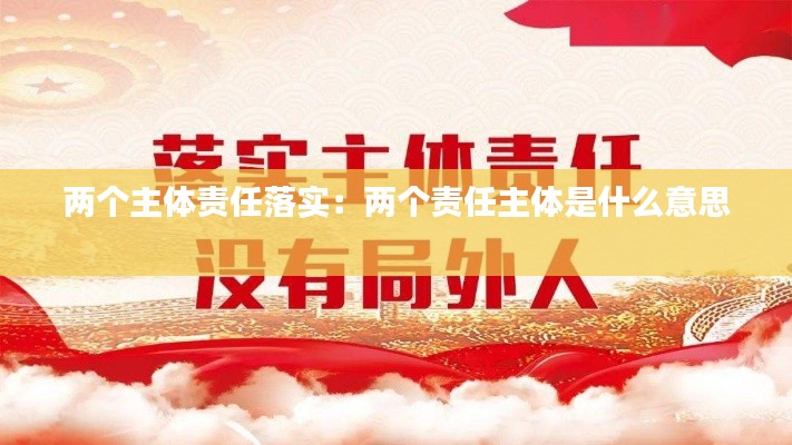 两个主体责任落实：两个责任主体是什么意思 