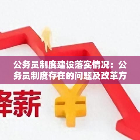 公务员制度建设落实情况：公务员制度存在的问题及改革方向 