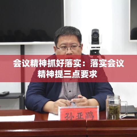 会议精神抓好落实：落实会议精神提三点要求 