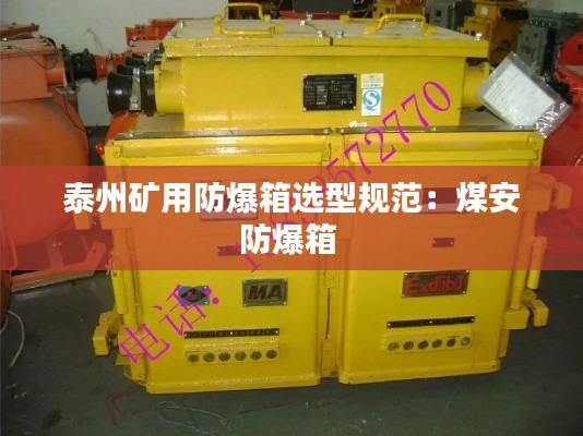 泰州矿用防爆箱选型规范：煤安防爆箱 