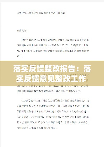 落实反馈整改报告：落实反馈意见整改工作 