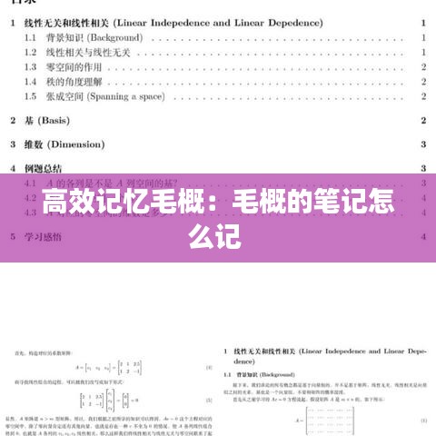 高效记忆毛概：毛概的笔记怎么记 