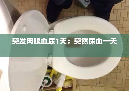 飞鸟依人 第2页