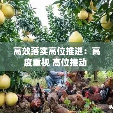 高效落实高位推进：高度重视 高位推动 
