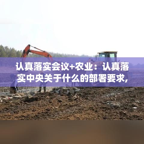 认真落实会议+农业：认真落实中央关于什么的部署要求,大力抓好粮食生产 