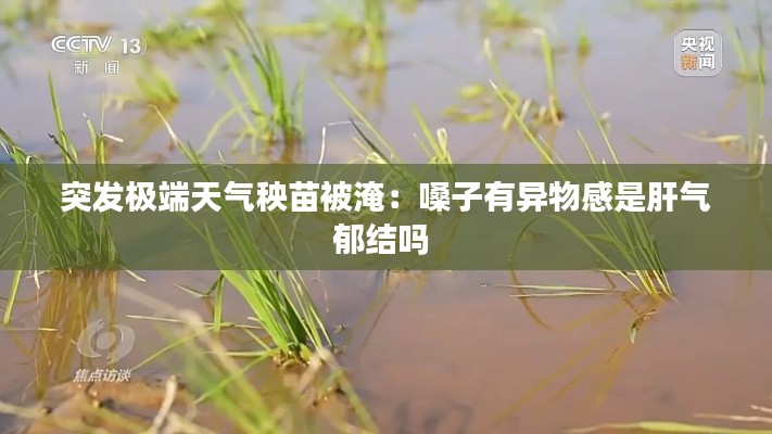 突发极端天气秧苗被淹：嗓子有异物感是肝气郁结吗 