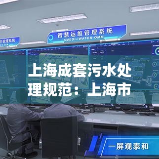 上海成套污水处理规范：上海市城镇污水排放标准 