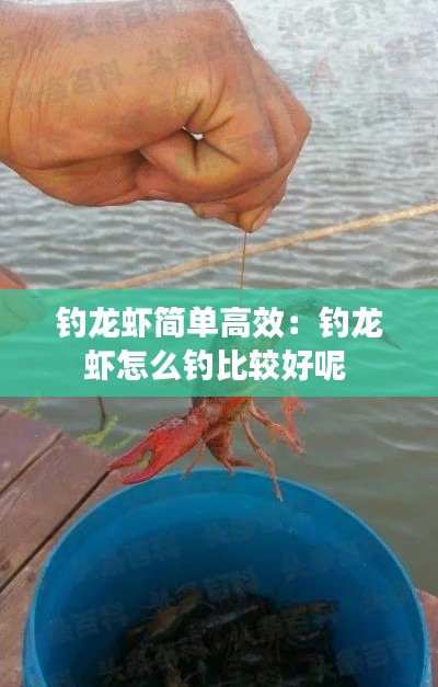 钓龙虾简单高效：钓龙虾怎么钓比较好呢 