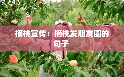 摘桃宣传：摘桃发朋友圈的句子 