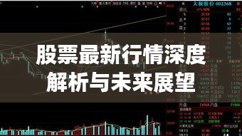 股票最新行情深度解析与未来展望