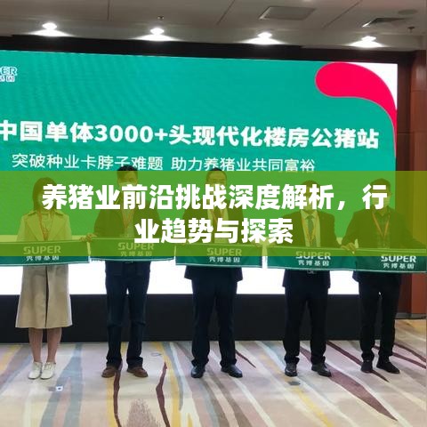 养猪业前沿挑战深度解析，行业趋势与探索