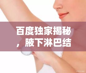 百度独家揭秘，腋下淋巴结知识深度解析