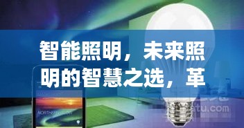敷衍了事 第3页