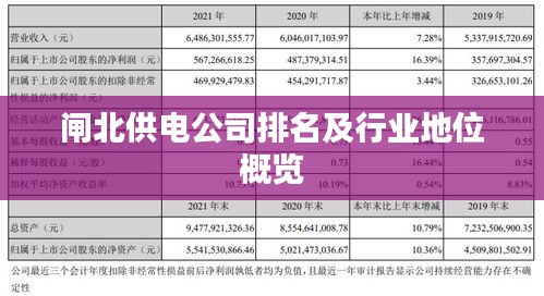 闸北供电公司排名及行业地位概览