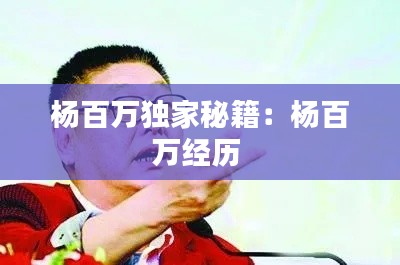杨百万独家秘籍：杨百万经历 