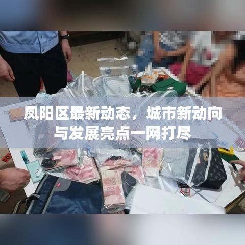 凤阳区最新动态，城市新动向与发展亮点一网打尽