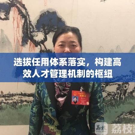 选拔任用体系落实，构建高效人才管理机制的枢纽