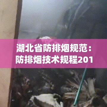 湖北省防排烟规范：防排烟技术规程2017 