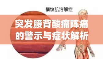 突发腰背酸痛阵痛的警示与症状解析