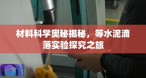 飞蛾扑火 第4页