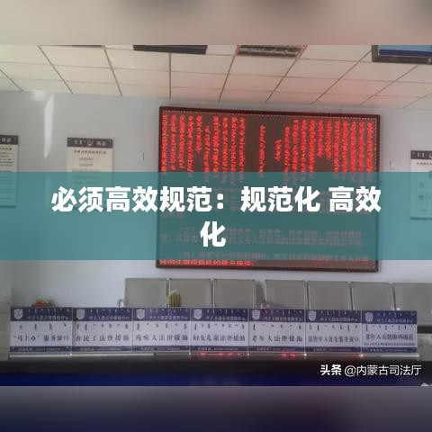 必须高效规范：规范化 高效化 