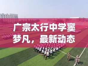 投诉说明 第225页