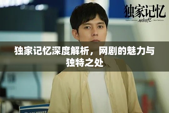 独家记忆深度解析，网剧的魅力与独特之处