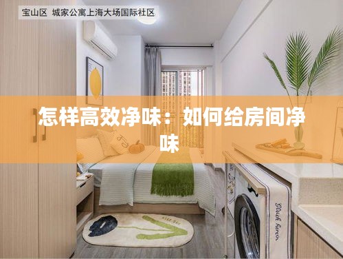 怎样高效净味：如何给房间净味 