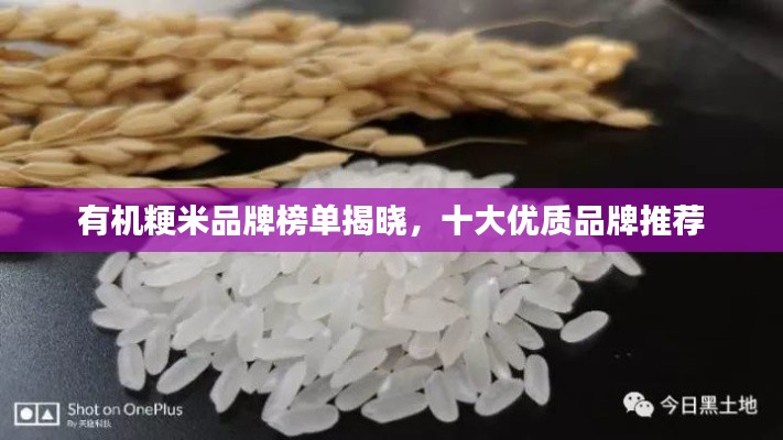 有机粳米品牌榜单揭晓，十大优质品牌推荐