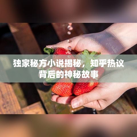 独家秘方小说揭秘，知乎热议背后的神秘故事