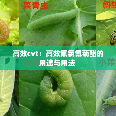 高效cvt：高效氟氯氰菊酯的用途与用法 