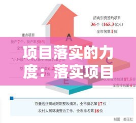 项目落实的力度：落实项目建设 