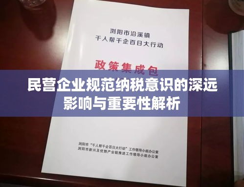 民营企业规范纳税意识的深远影响与重要性解析